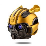 bumblbee-surround-000