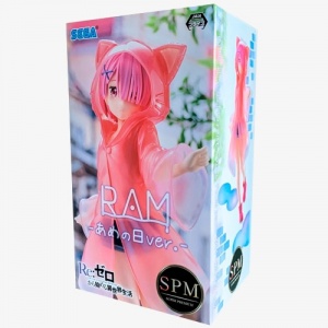 ram-rain-sega-box