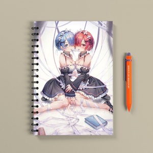 re-zero-v2-2