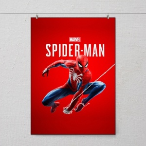spider man flag 2