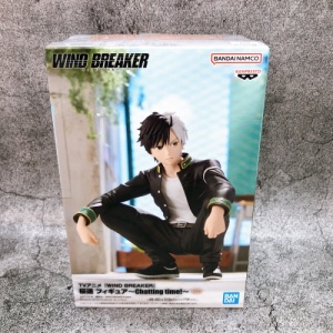 wind-1