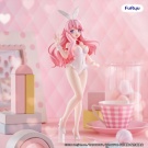 baka_testsummonthebeastsbicutebunniesfigure-mizukihimeji